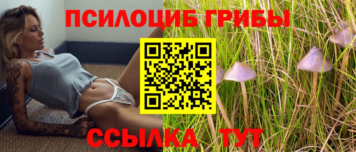 Галлюциногенные грибы Magic Shrooms Тавда