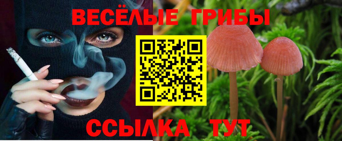 Тавда  Псилоцибиновые грибы мухоморы  Псилоцибиновые грибы MAGIC MUSHROOMS  Вход с VPN 